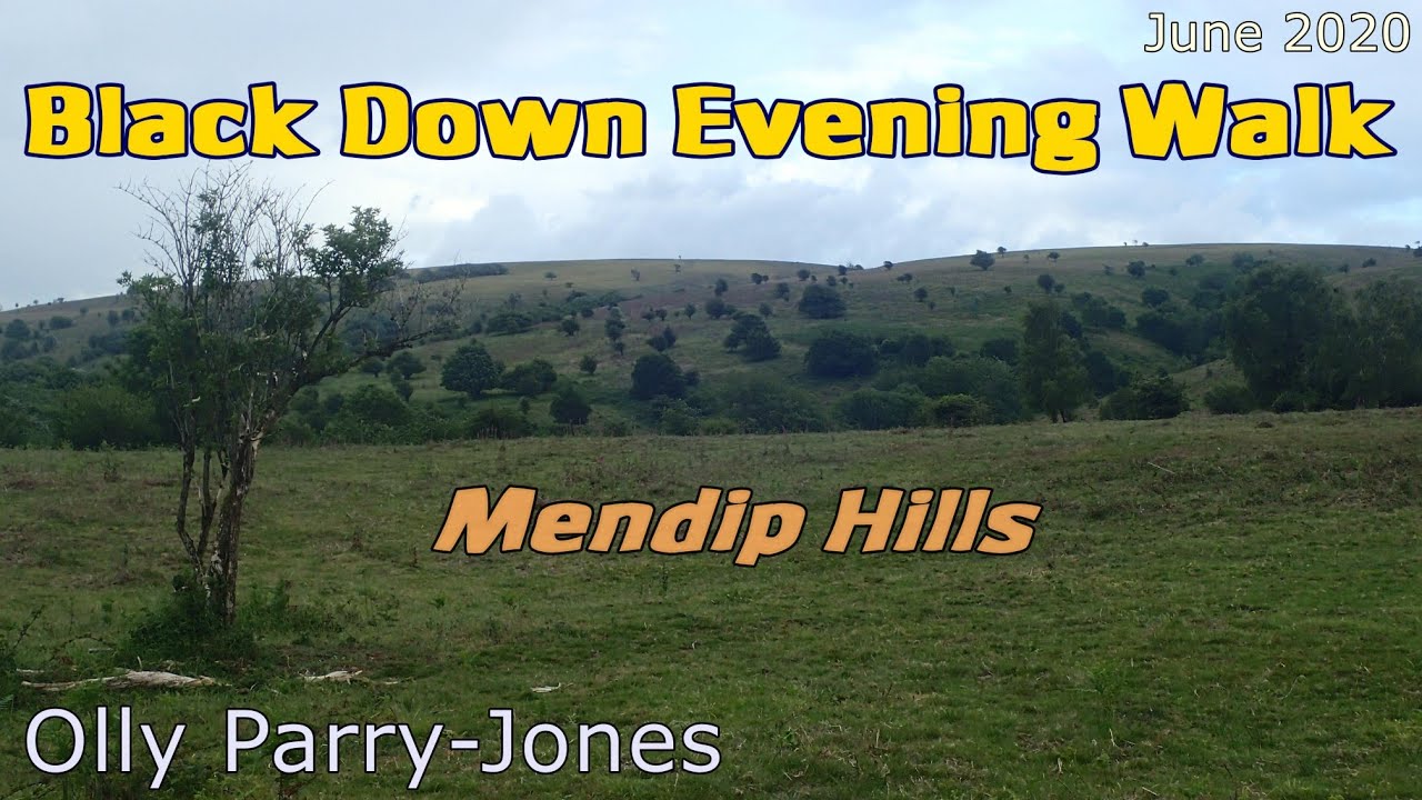 Black Down Evening Walk (Mendip Hills)