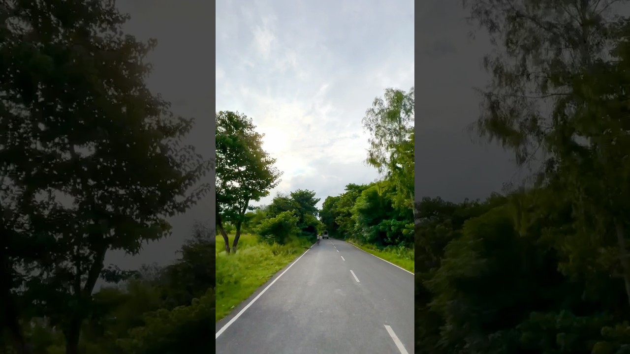 Bihar | Muzaffarpur | Beautiful | Nature | Lovely Weather | #bihar #muzaffarpur #deoria #kothi #yt |