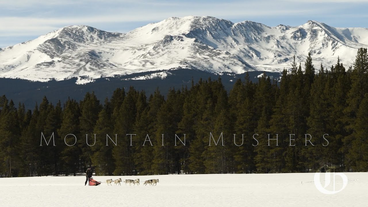 Mountain Mushers