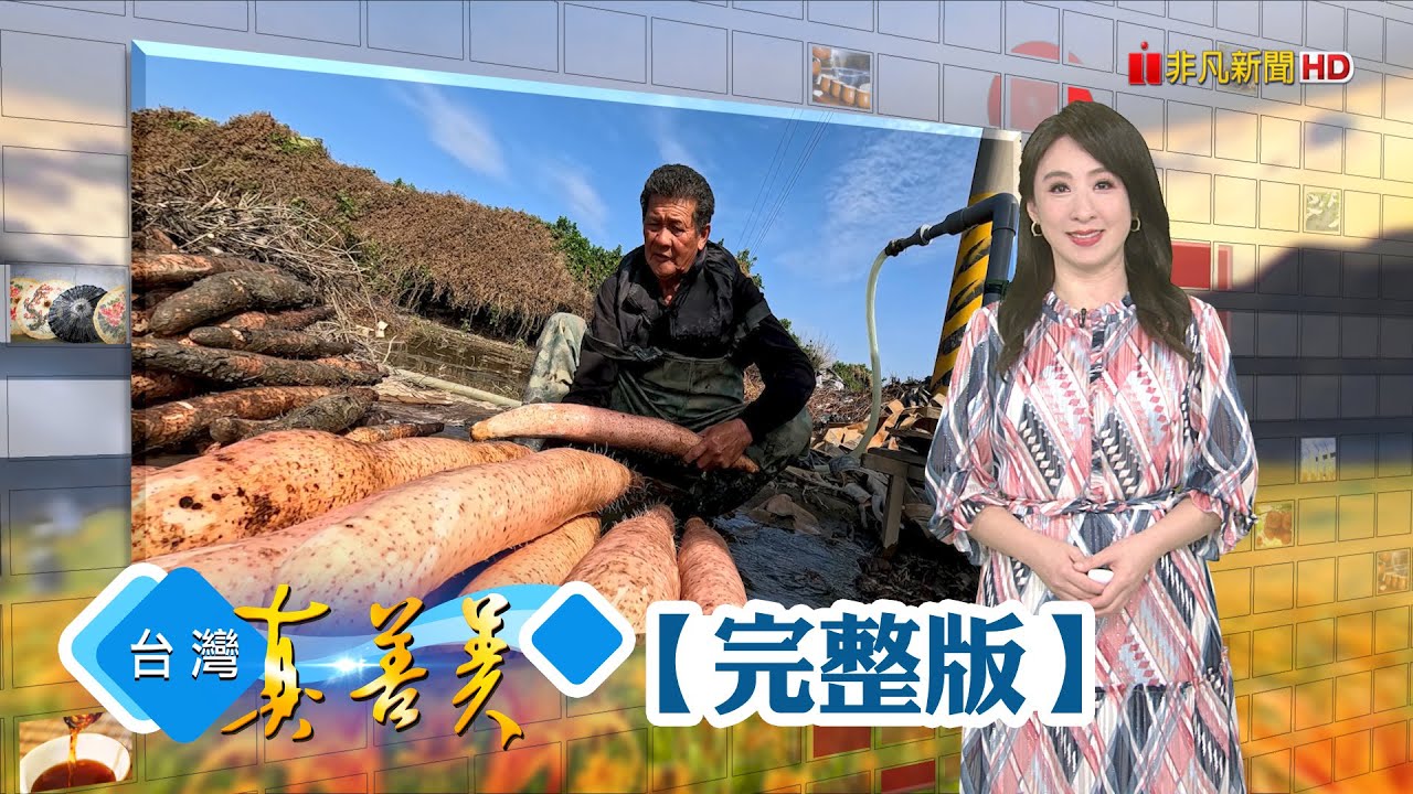 白領鴨爸翻轉鴨舍 自產自銷蓋蛋鴨農場/產地到餐桌一條龍 科技人賣魚締三億年收/菇販兒種&ldquo;菇中貴族&rdquo; 外銷美國年收破億/山藥大亨的土中黃金 水沖法挖掘人蔘山藥【台灣真善美】2024.02.05✦全集✦