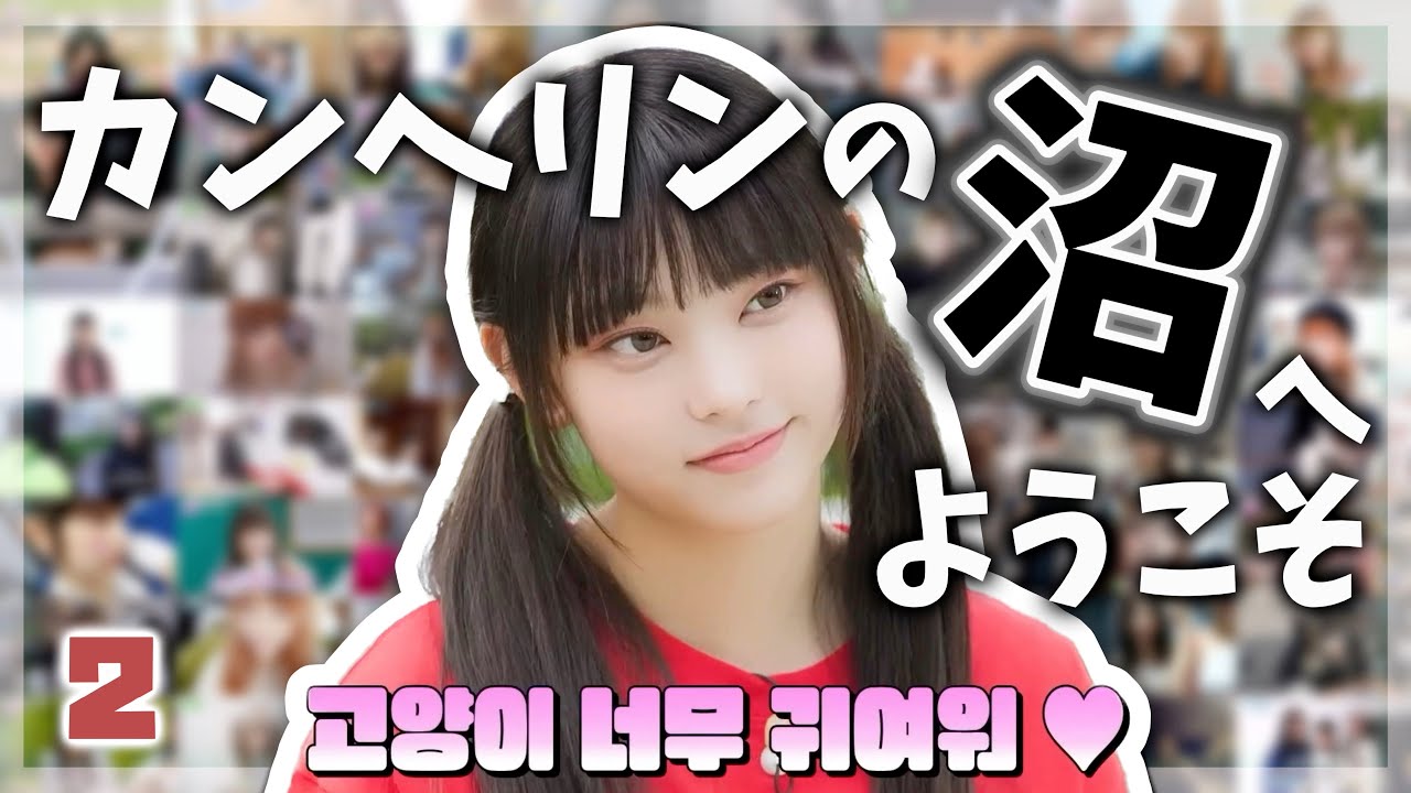 【祝1周年】ヘリンの魅力が詰まったシーンを全部まとめてみた。part2【NewJeans /日本語字幕】