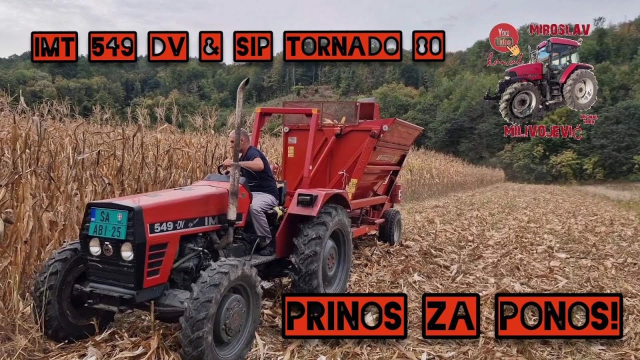 Berba kukuruza sa SIP TORNADO 80 i IMT 549 DV