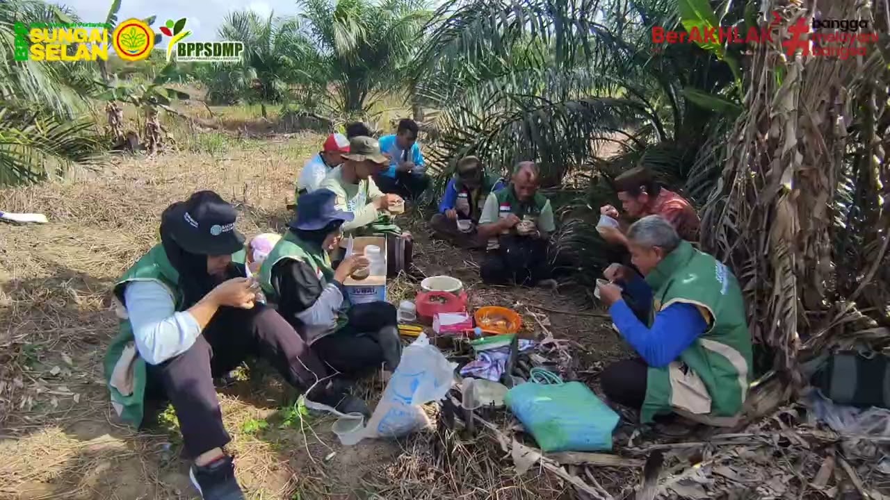 Nugal padi ladang di desa keretak atas kecamatan sungaiselan