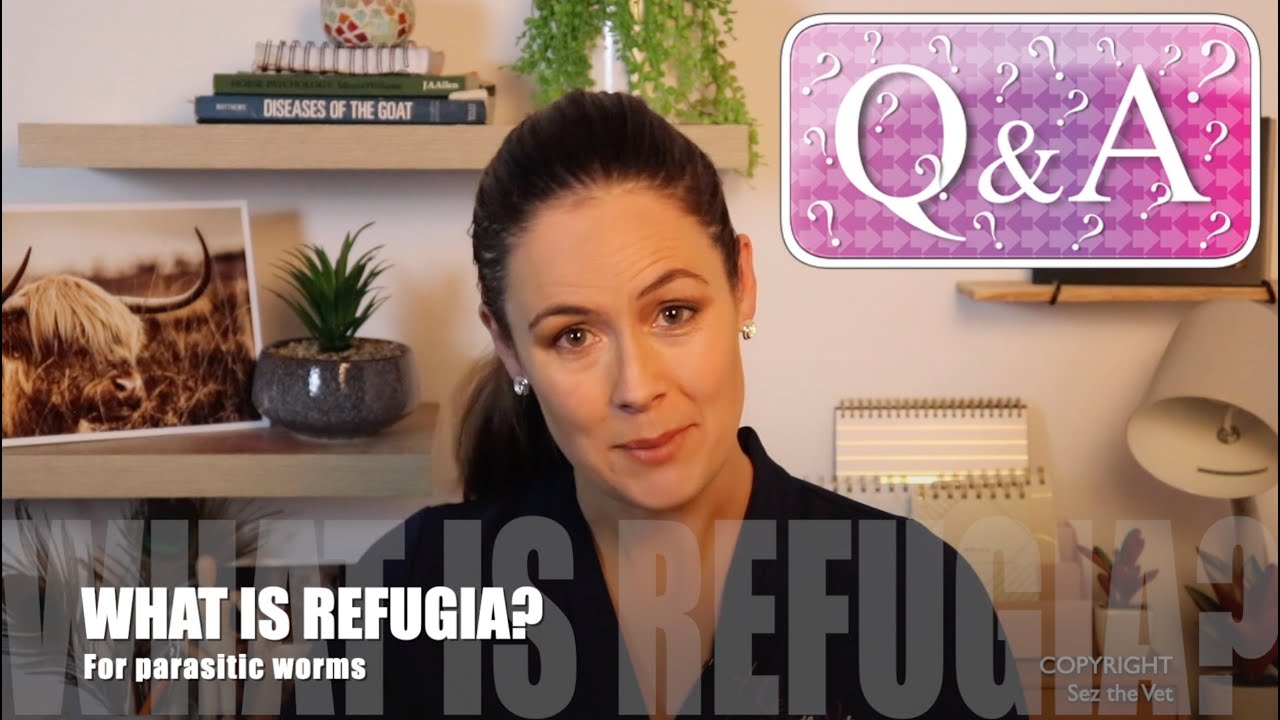 What is Refugia, and why is it so important for the safety of your farm animals?? | Sez the Vet