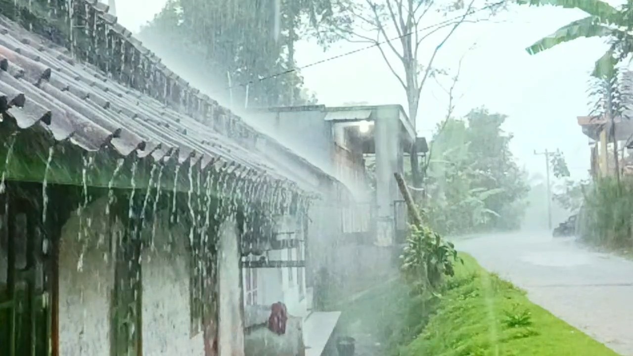 Звуки сильного дождя 🌧️ Быстрый глубокий сон | Успокаивающая атмосфера дождя для снятия стресса