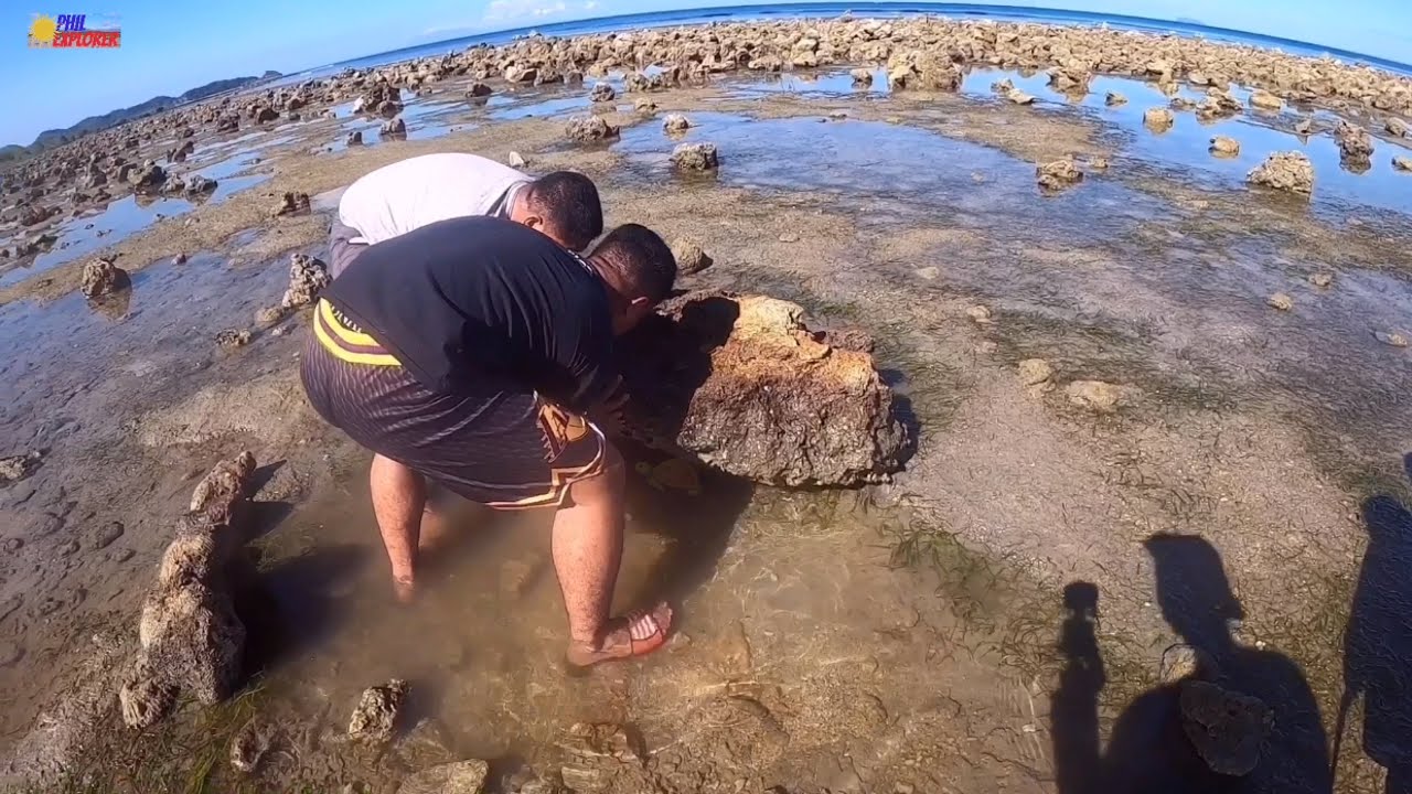 EXPLORING EXOTIC TIDE POOL | AND | MAKING A TIDE POOL AQUARIUM @ PHILIPPINES !!