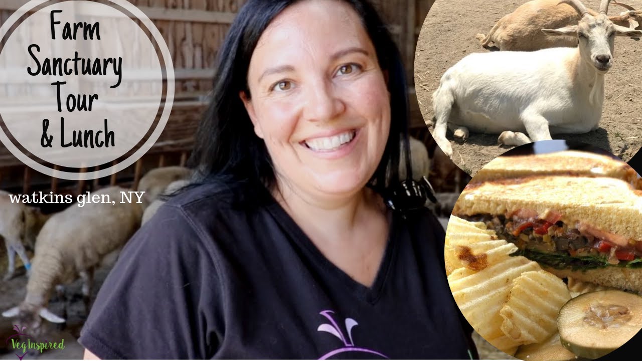 Farm Sanctuary Tour & Lunch | Watkins Glen, NY | VegInspired