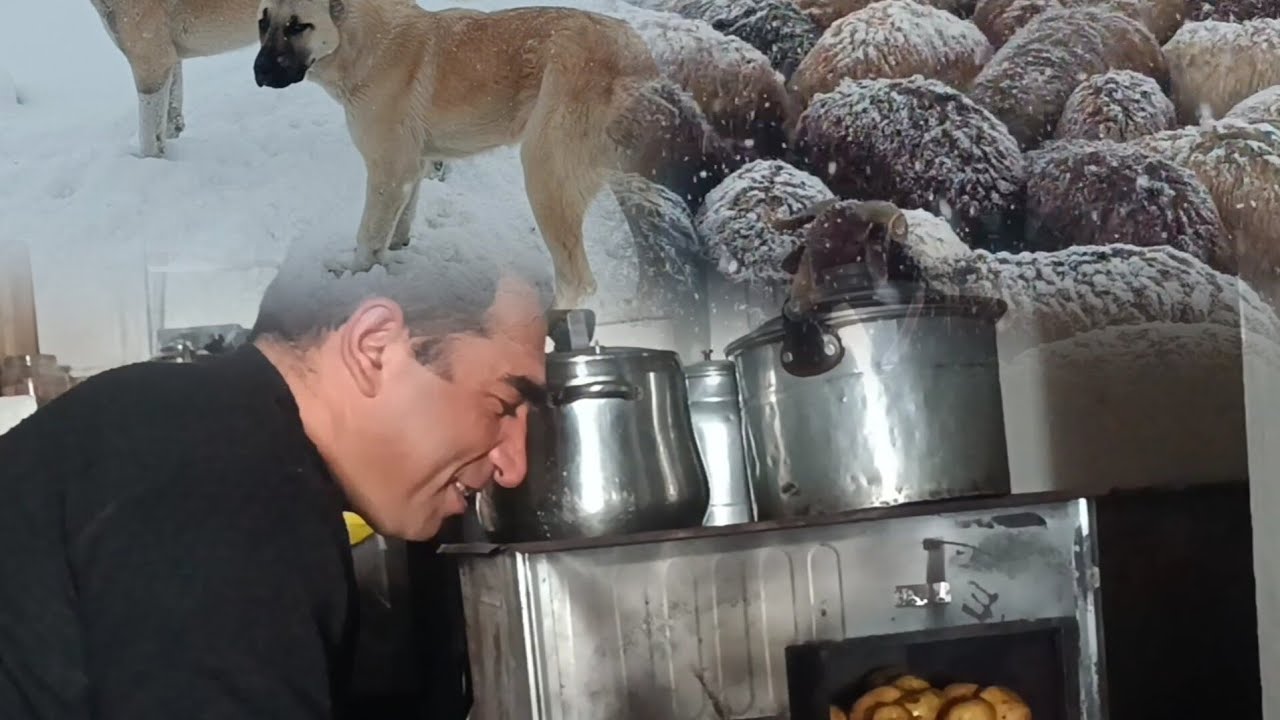 KAR VE TİPİ İÇİNDE KÖYLÜ VE KOYÜNLARIN YAŞAMI #belgesel#kangalkurt#wolf#kangal