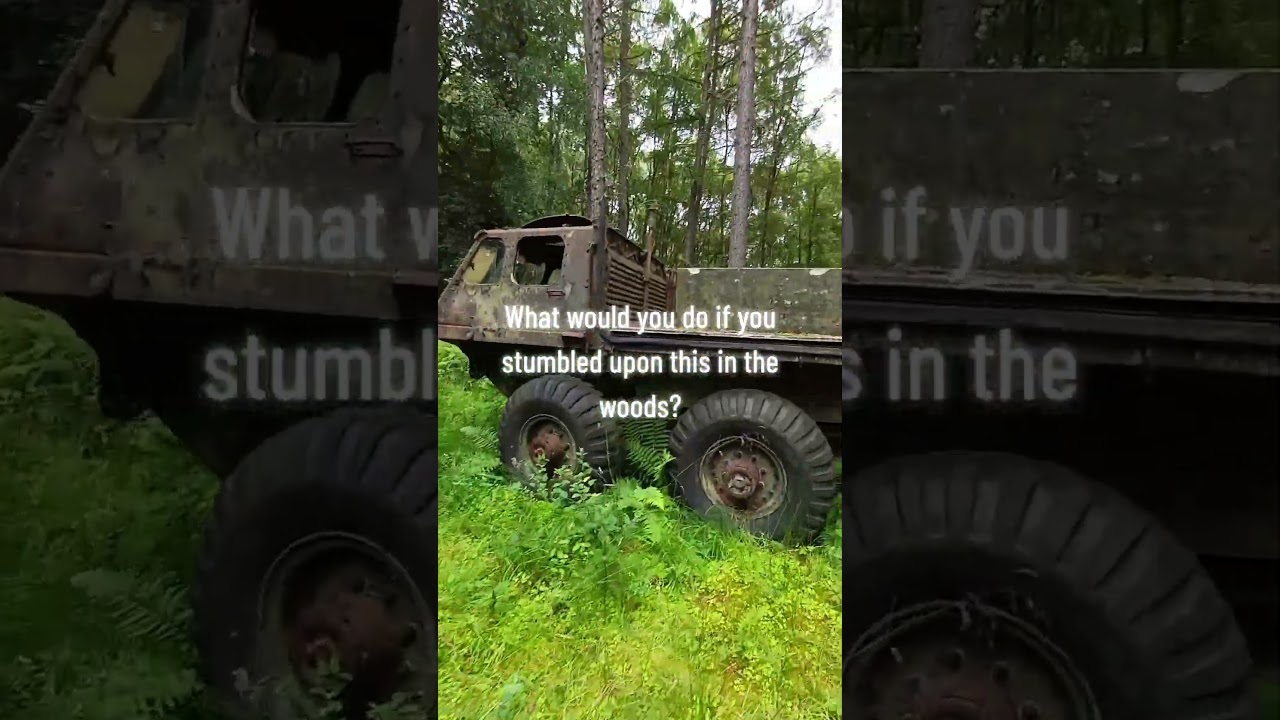 Rare military vehicles rusting in the woods.