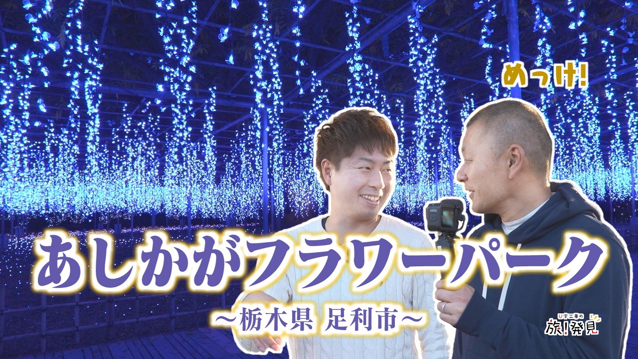 U字工事の旅！発見#323　あしかがフラワーパーク　～栃木県・足利市～