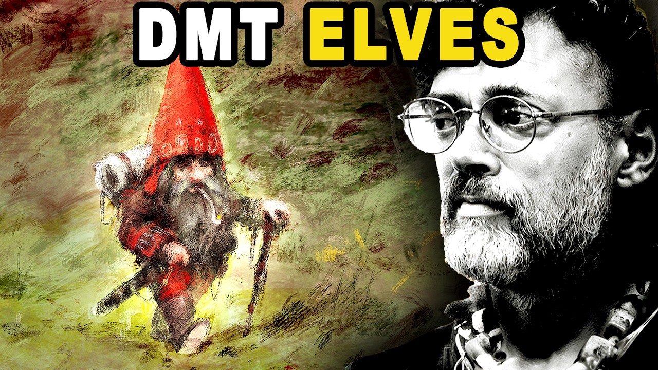 What the DMT Entities Showed Terence McKenna Will Change How You See Reality