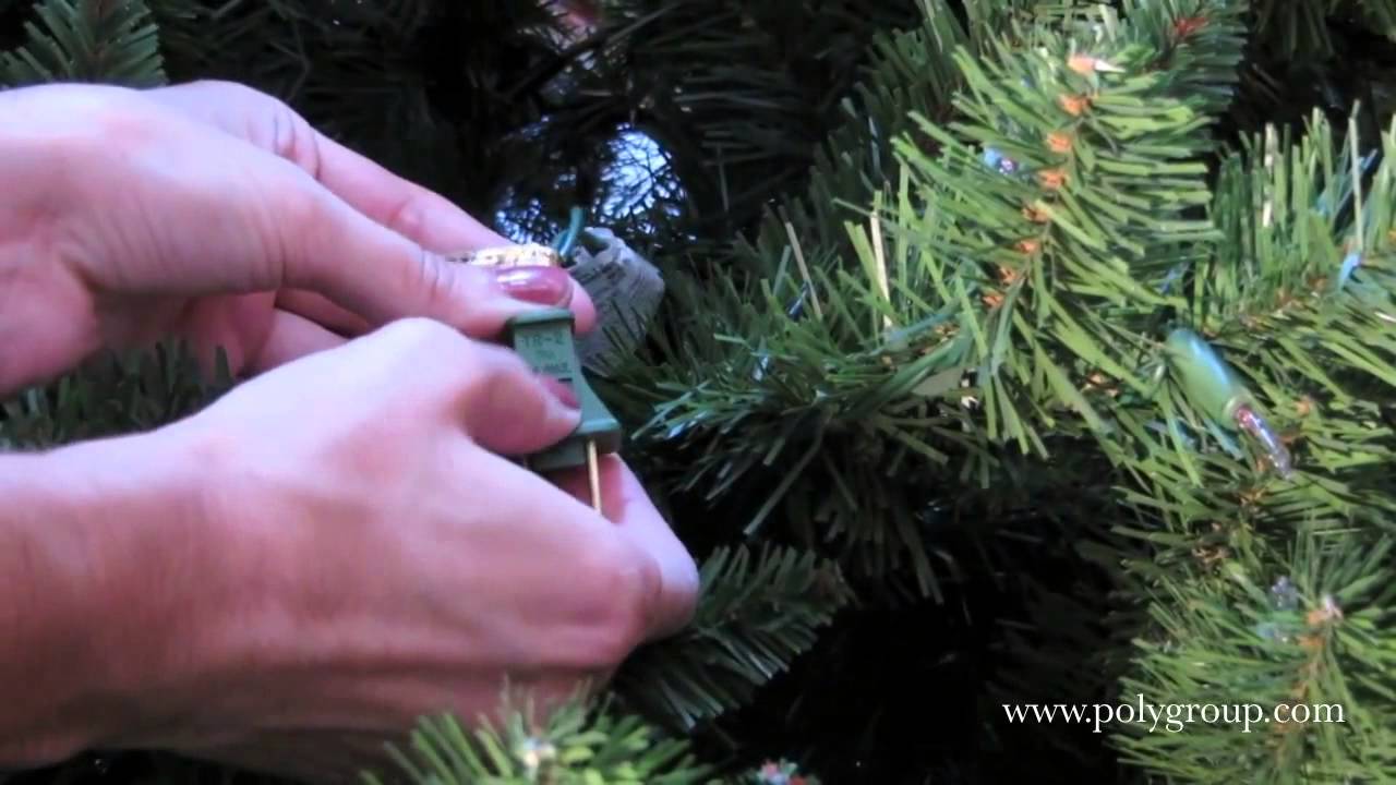 Basic Light Troubleshooting