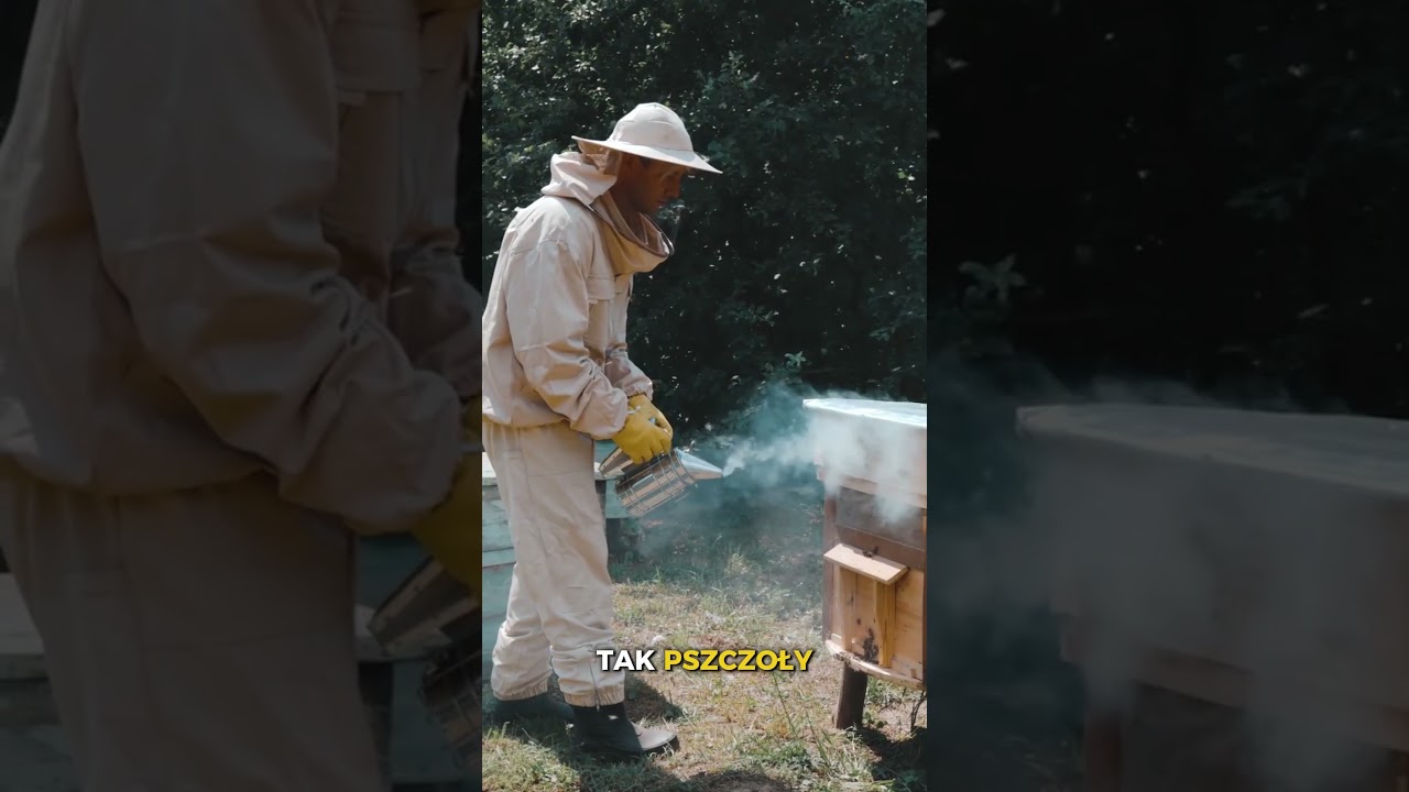 Św. Ambroży – patron pszczelarzy i jedna z najważniejszych postaci związanych z tradycją miodu. 🍯🐝