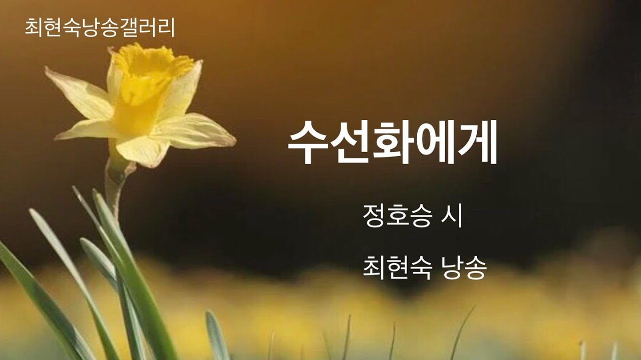 수선화에게 / 정호승 시 / 최현숙 낭송 / 울지 마라 외로우니까 사람이다. 가끔은 하느님도 외로워서 눈물을 흘리신다