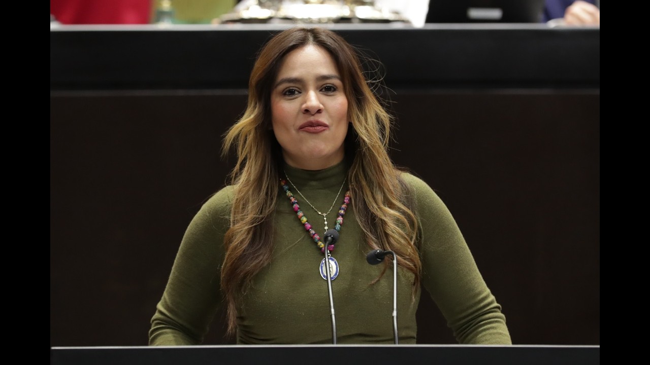 Dip. Xitlalic Ceja García (PRI) / Presentación de reserva