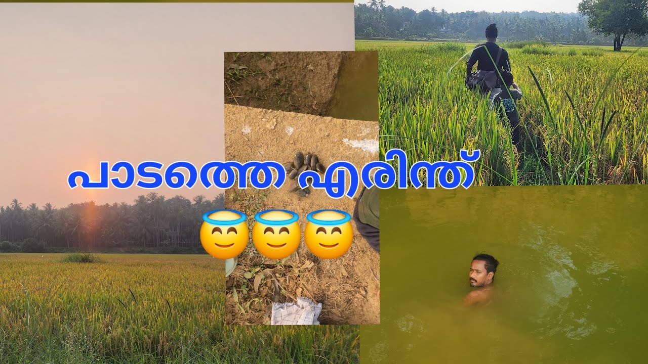 വല്ലാത്തൊരു പണി ആയിപോയി 😲😲#vlog #youtuber #youtuvideos #newvideo #fishing #naadu 