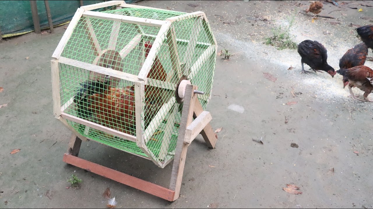 How to Make a Simple Chicken Treadmill at Home | DIY |