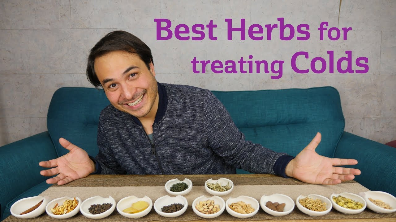 Best Herbs for Common Colds