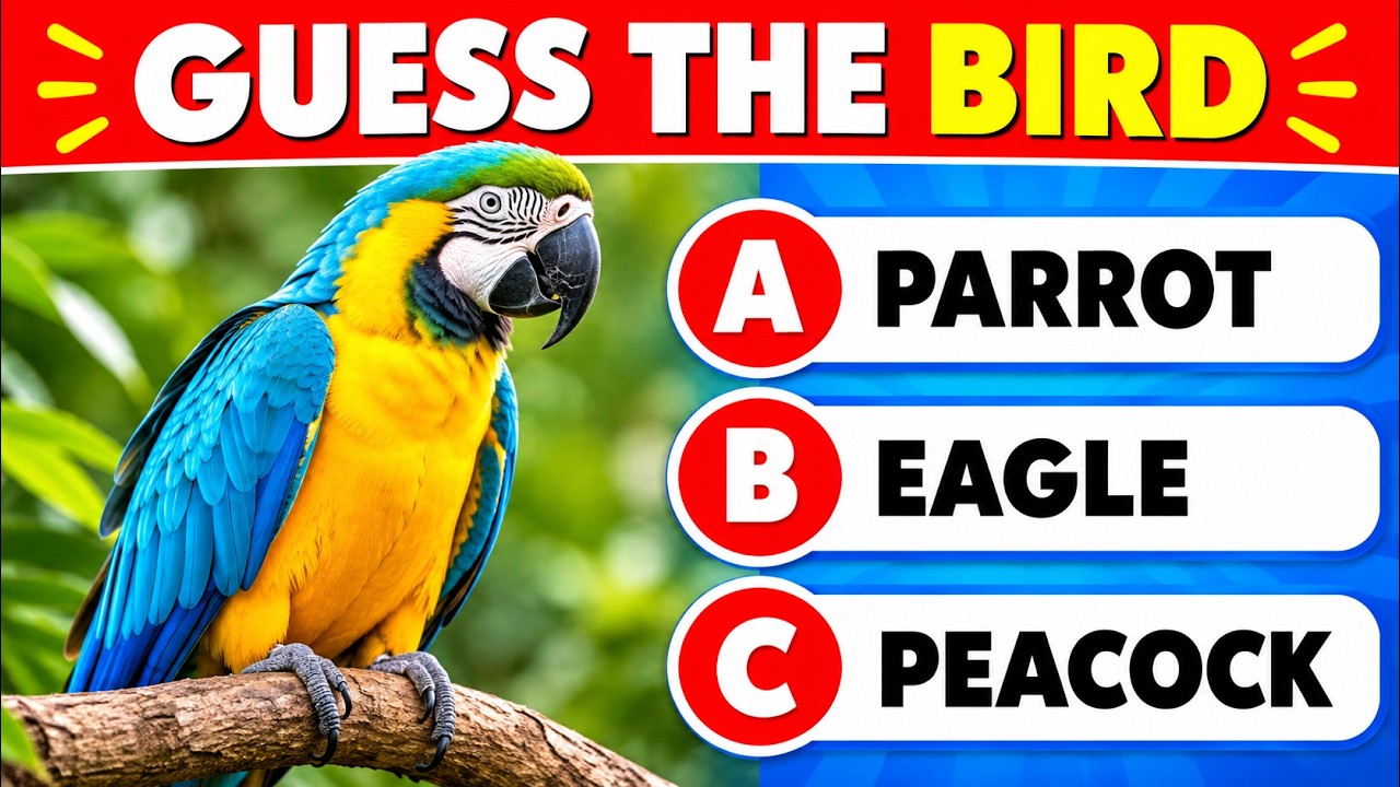 Guess the Bird Names by Pictures | Ultimate Bird Quiz