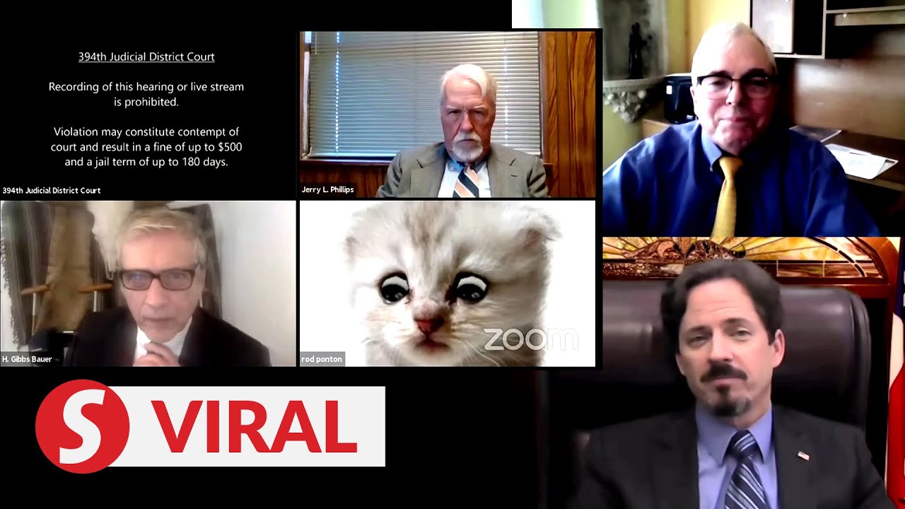 Lawyer's fine with 'cat' episode, judge says it's one of those learning moments