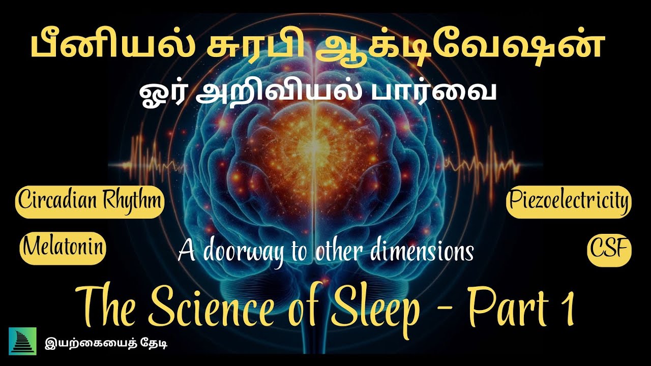 பீனியல் சுரபி ஆக்டிவேஷன் I Pineal Gland Activation I Dr. Joe Dispenza I Becoming Supernatural