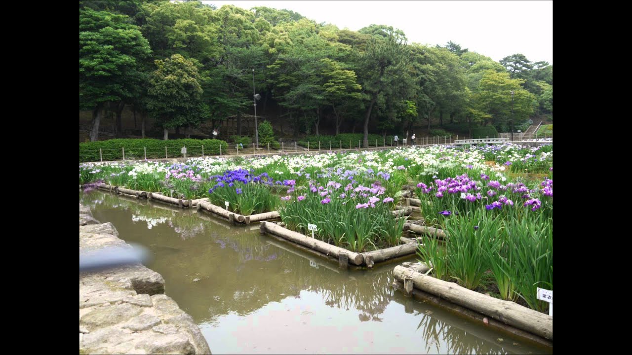 夜宮公園.wmv