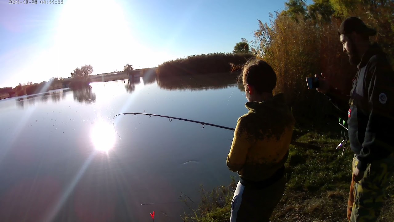 Pecanje Šarana. Feeder pecanje. Carp fishing.
