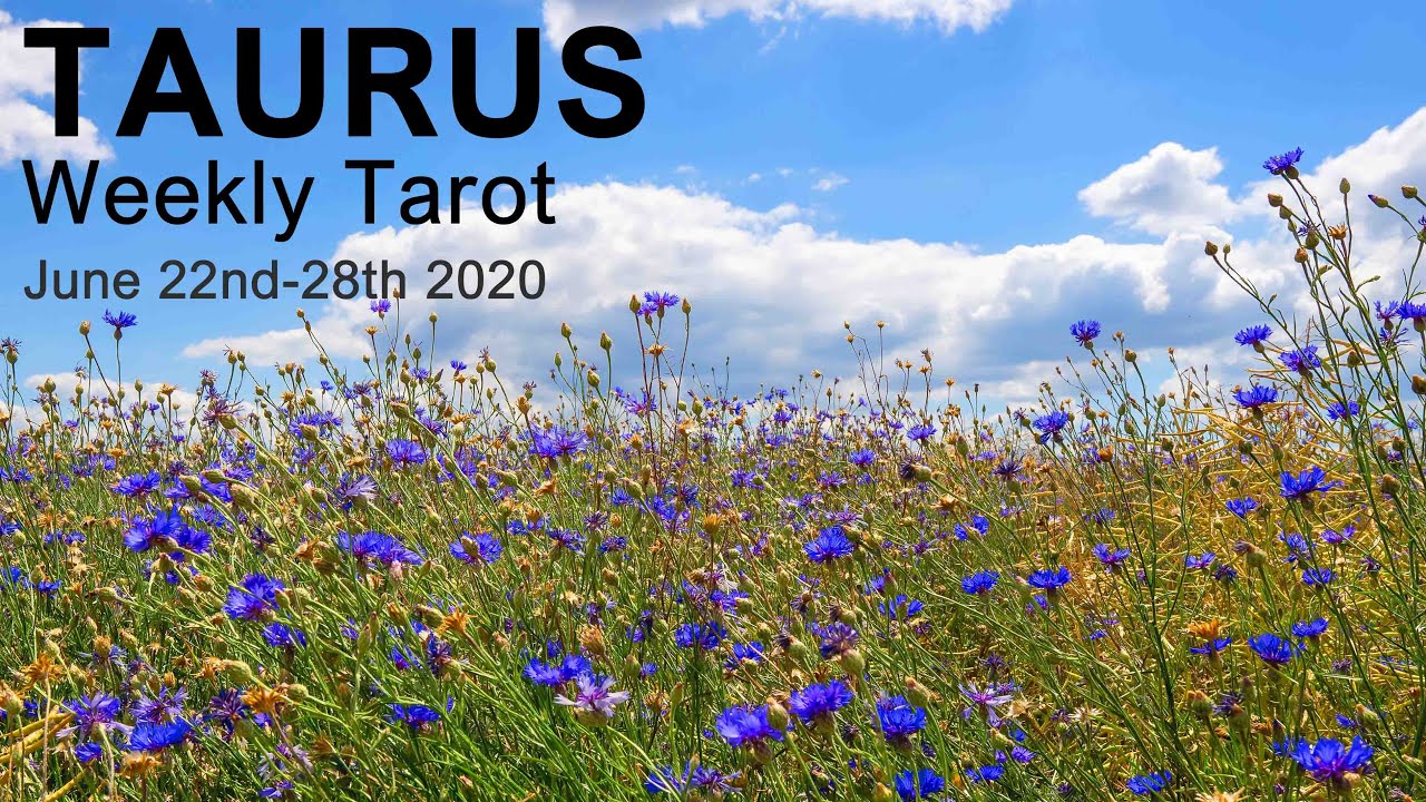 TAURUS WEEKLY TAROT READING 
