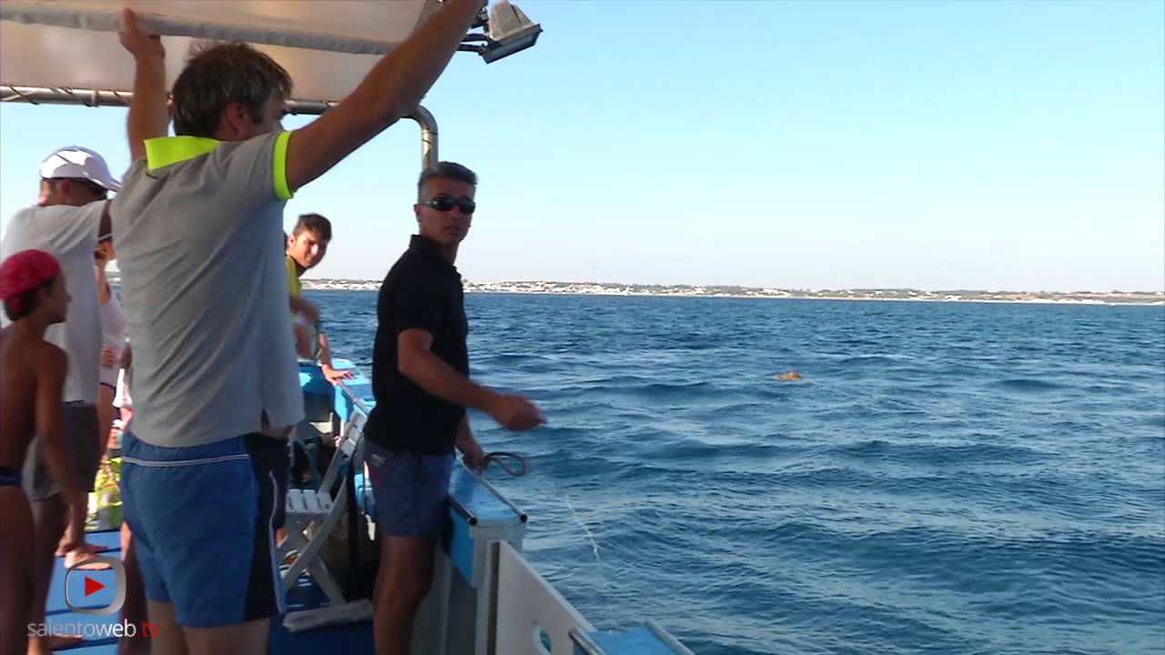 Porto Cesareo in barca: mare, pesce e turismo a km 0