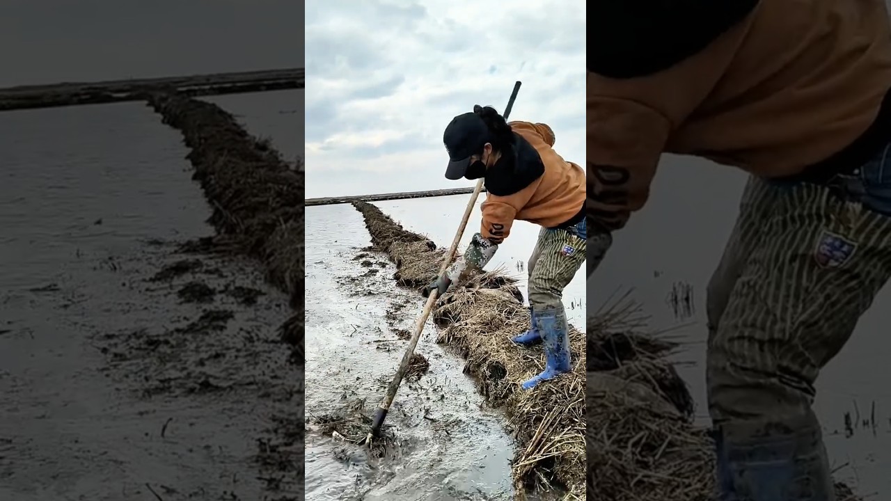 Techniques to prevent siltation from agricultural land