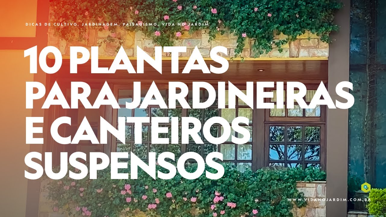 10 PLANTAS para JARDINEIRAS e CANTEIROS SUSPENSOS