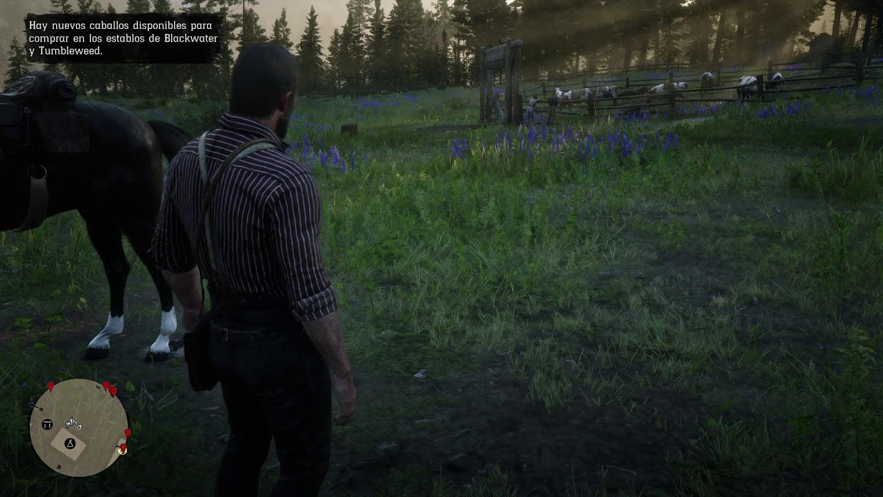 Red Dead Redemption 2