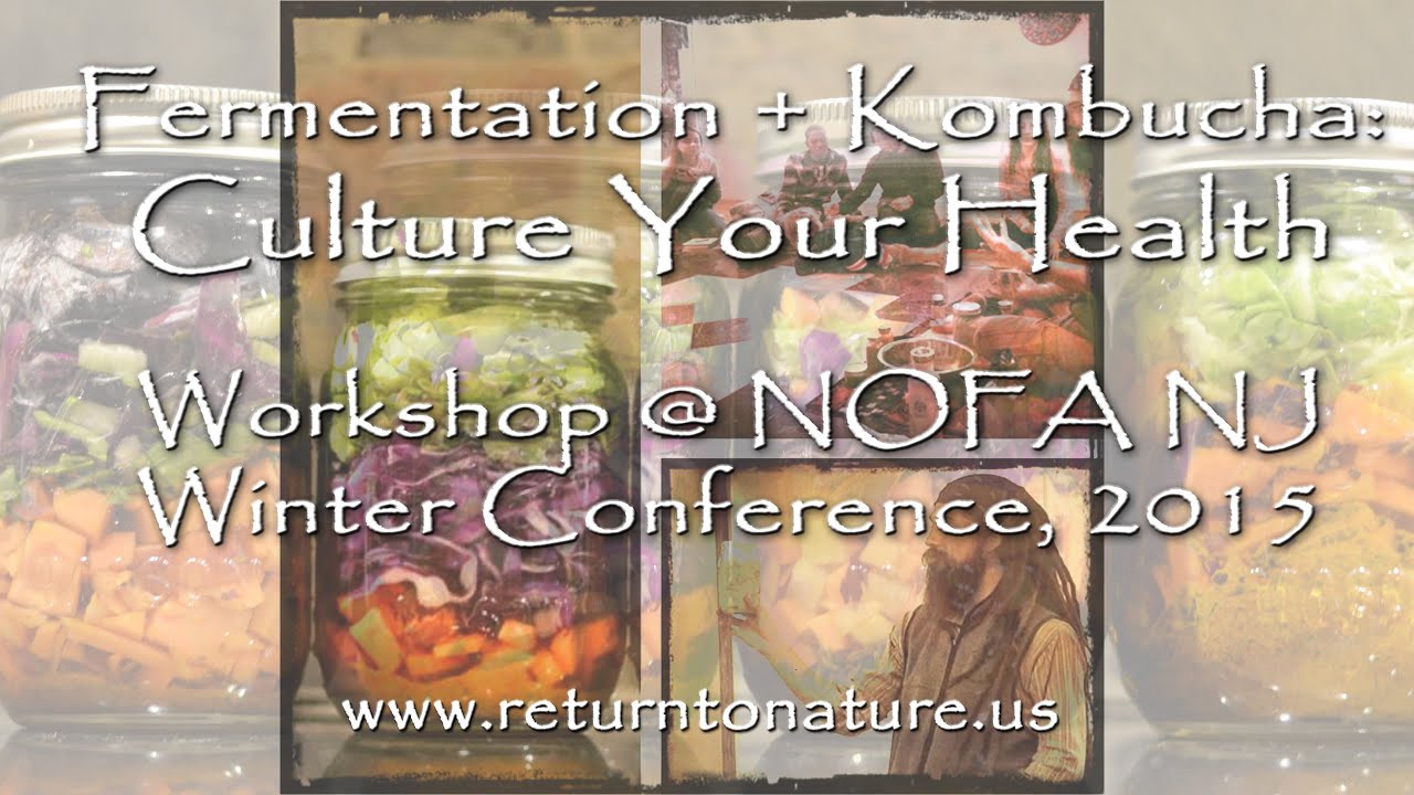 Fermentation + Kombucha Workshop - Part 3 - Bacteria and Human Immunity