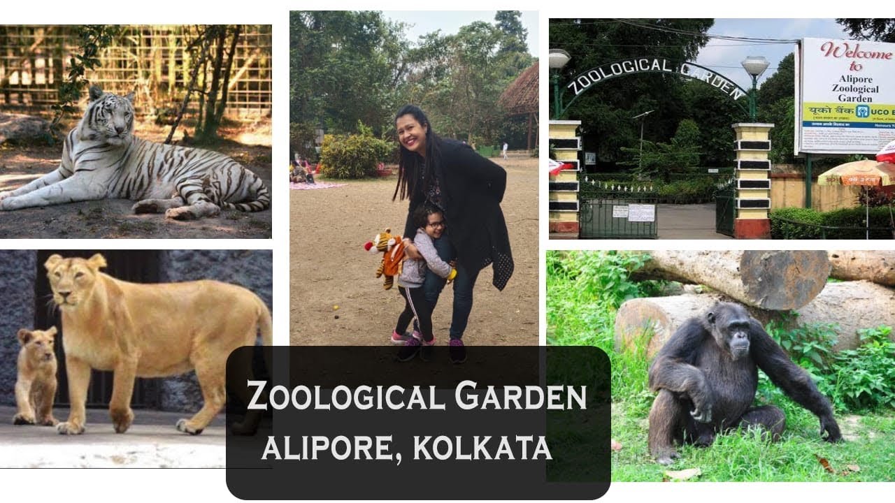 Kolkata Zoological Gardens | Alipore Zoo Kolkata