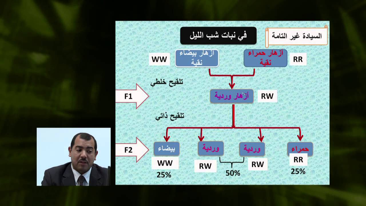 الأحياء - الصف الثانى عشر - الدرس رقم (17) التزاوجات الهجينية