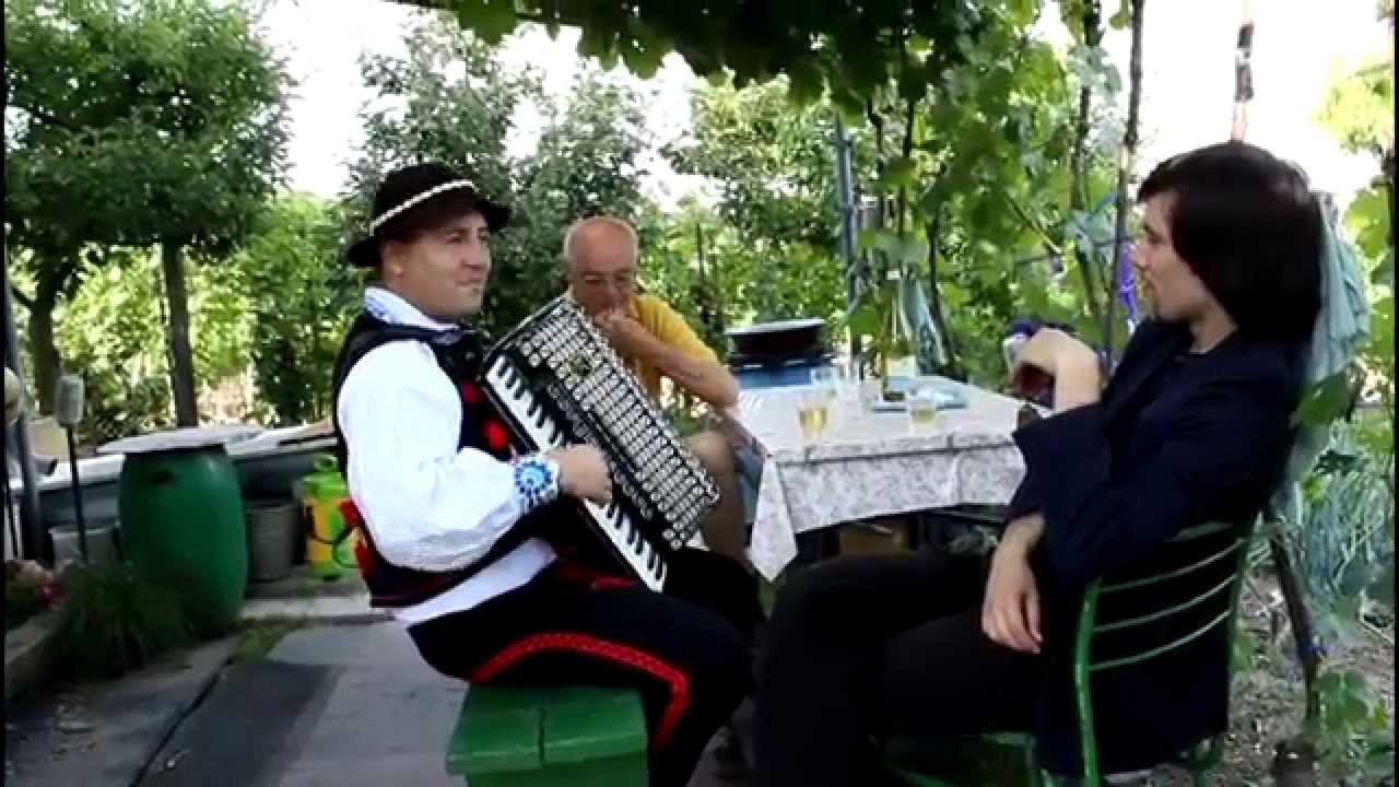 Harmonikár - Keď rozkvitne biela ruža