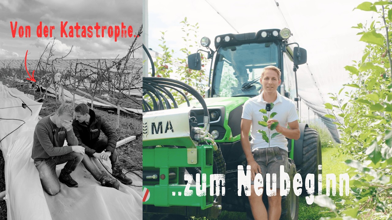 Von der Katastrophe zur neuen Idee: Die Entstehung unserer Bio-Baumpatenschaften 🌱