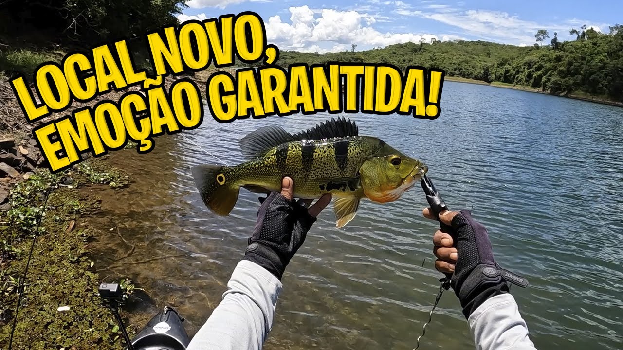 NUNCA TINHA PESCADO AQUI! CORUMB&Aacute; IV SURPREENDEU NA ULTRA LIGHT 🎣😱
