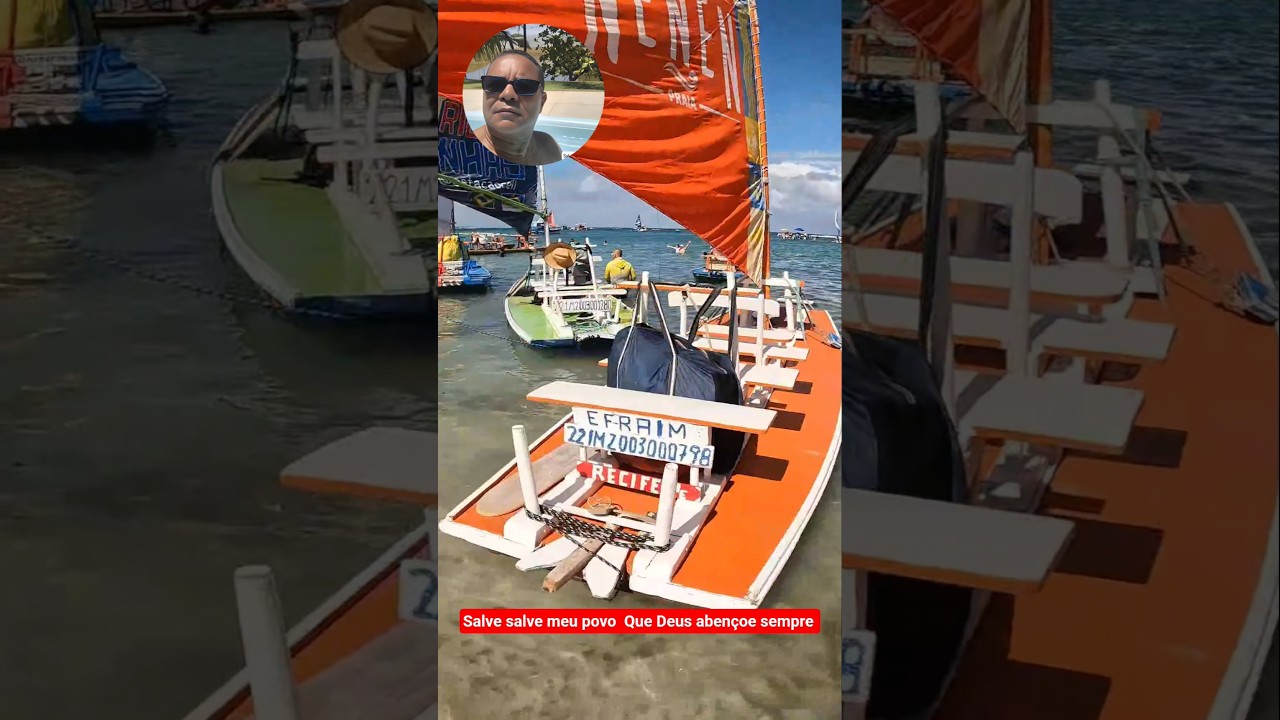 VEJA que maravilha de porto de galinhas