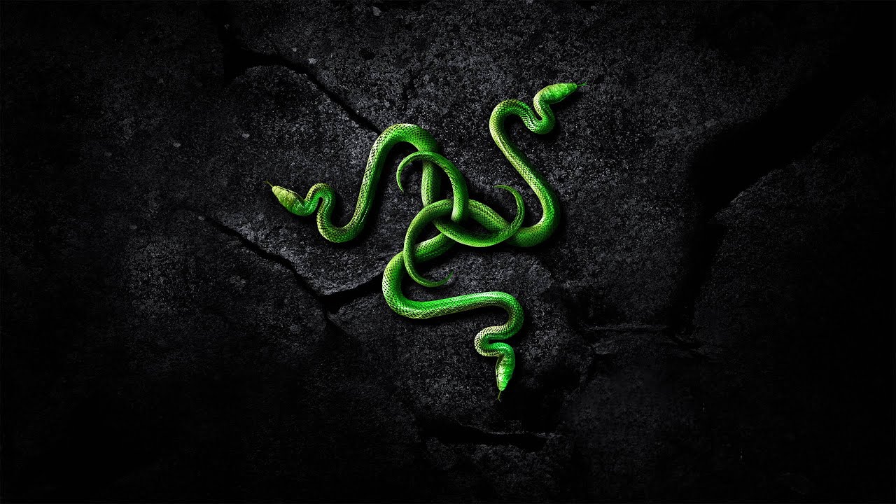 Razer Product Review || Razer Kiyo Pro & Razer Wolverine Ultimate
