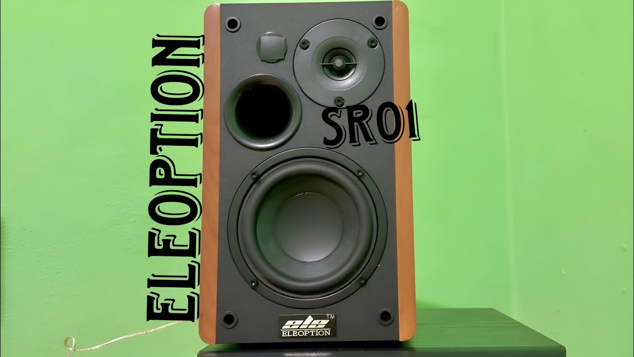 Monitores econ&oacute;micos Eleoption SR01 unboxing y prueba de sonido