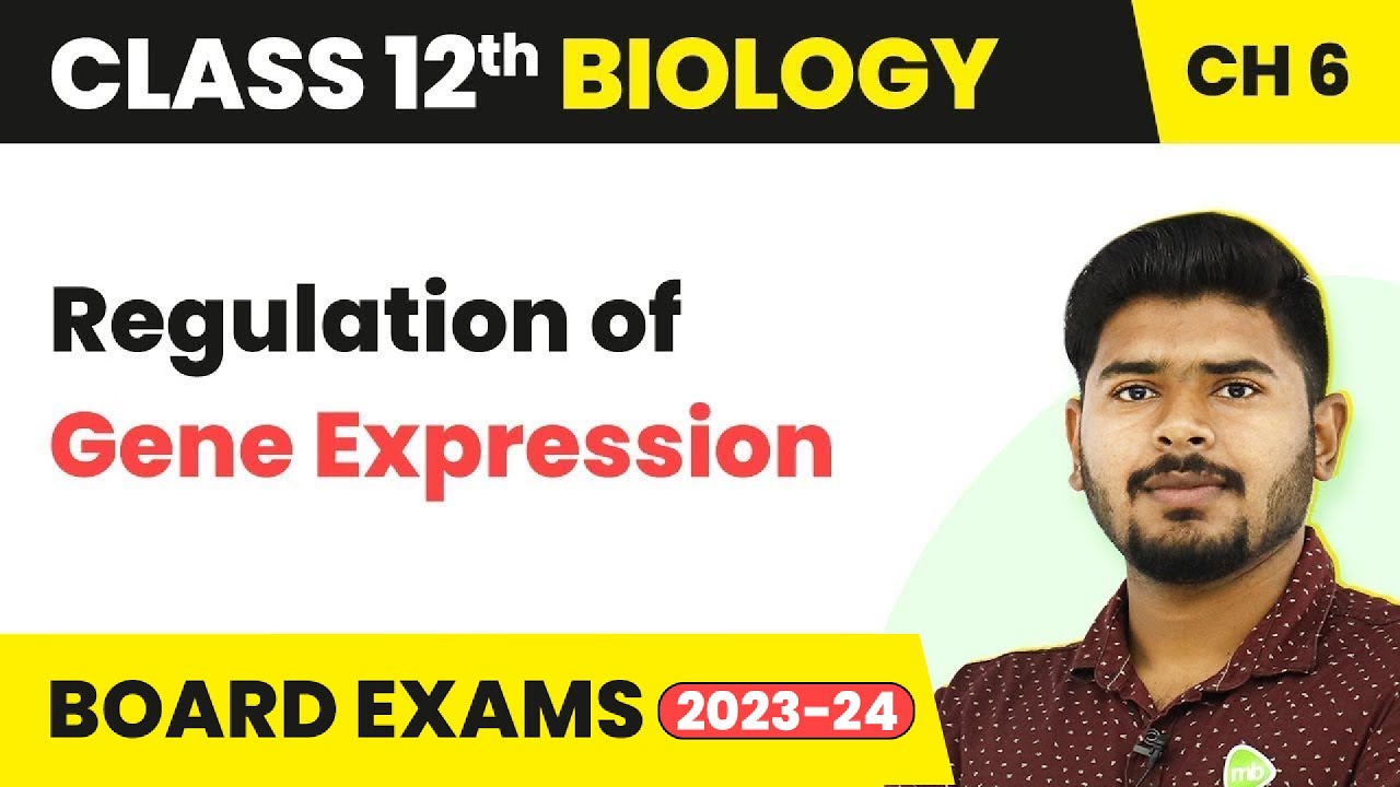 Regulation of Gene Expression - Molecular Basis of Inheritance | Class 12 Biology (2022-23)