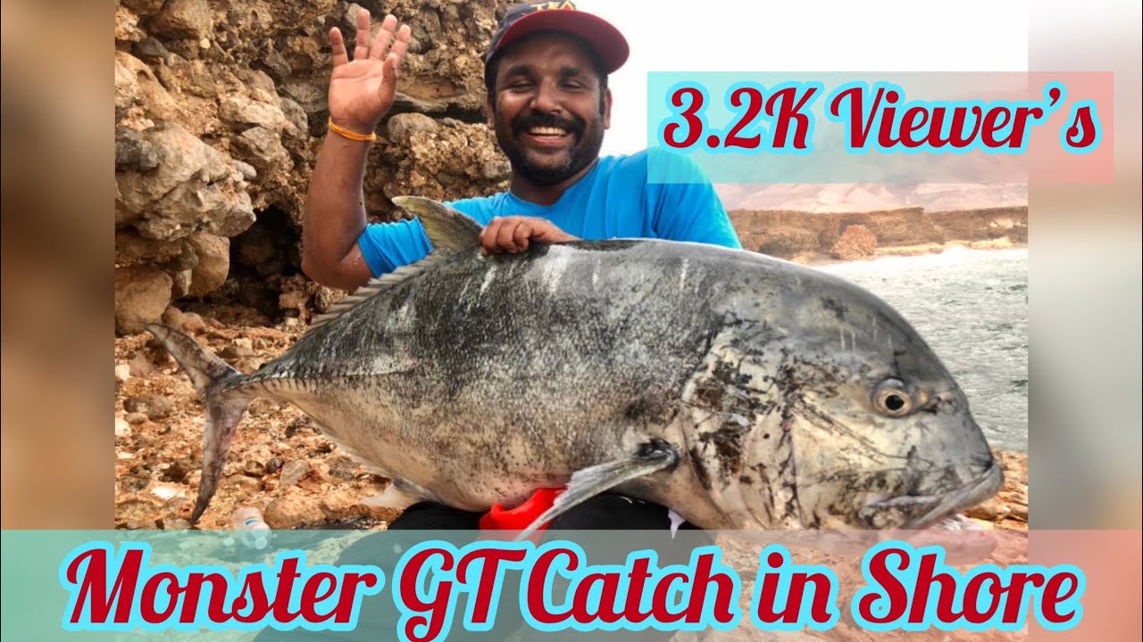 |monster |gt |lure |fishing |oman |beach |shore |muscat |reels |kerala |shimano |ultegraXTC |14000