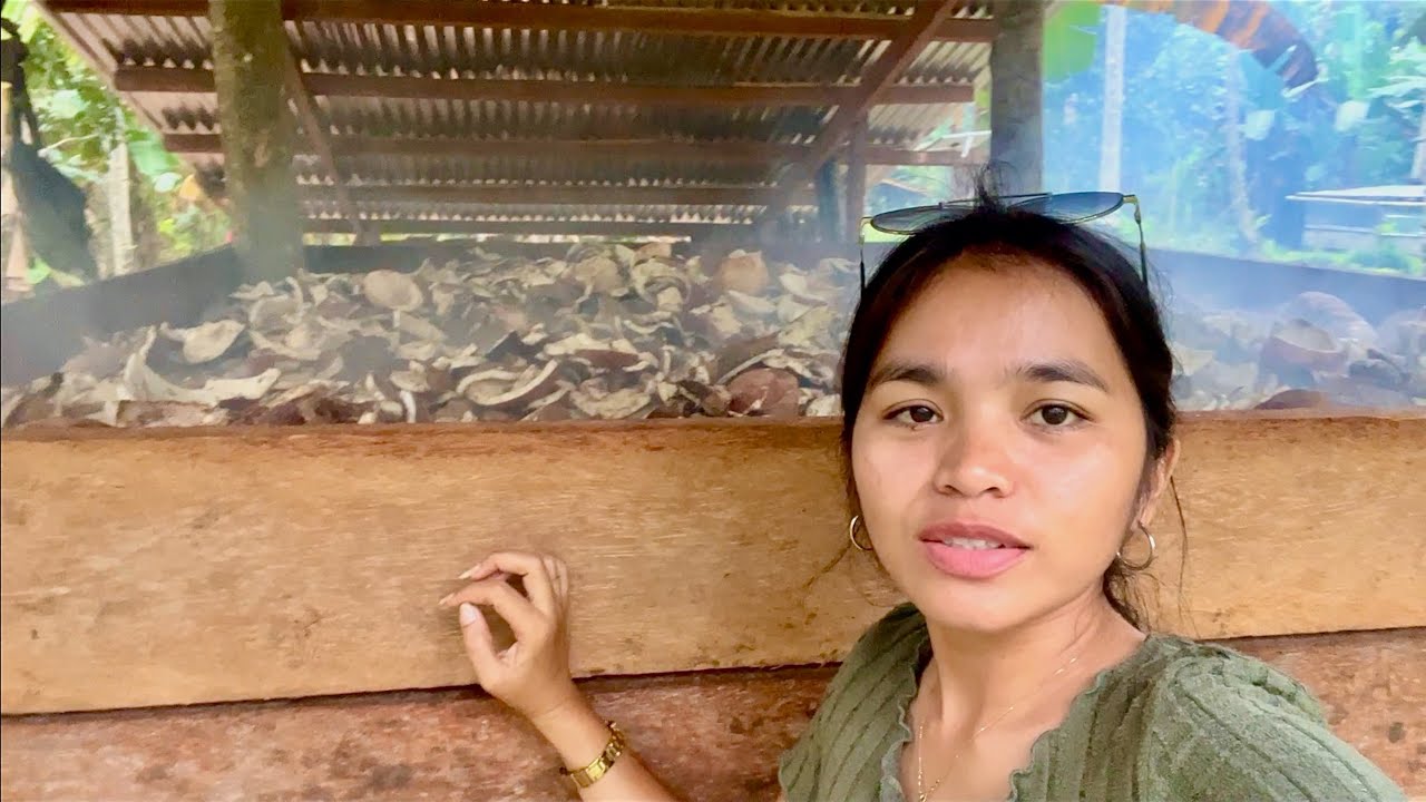Coconut Harvesting in the Philippines Part 2