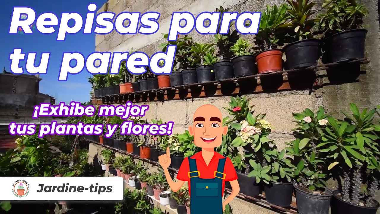 Repisas para tu pared - ¡Exhibe mejor tus plantas y flores!