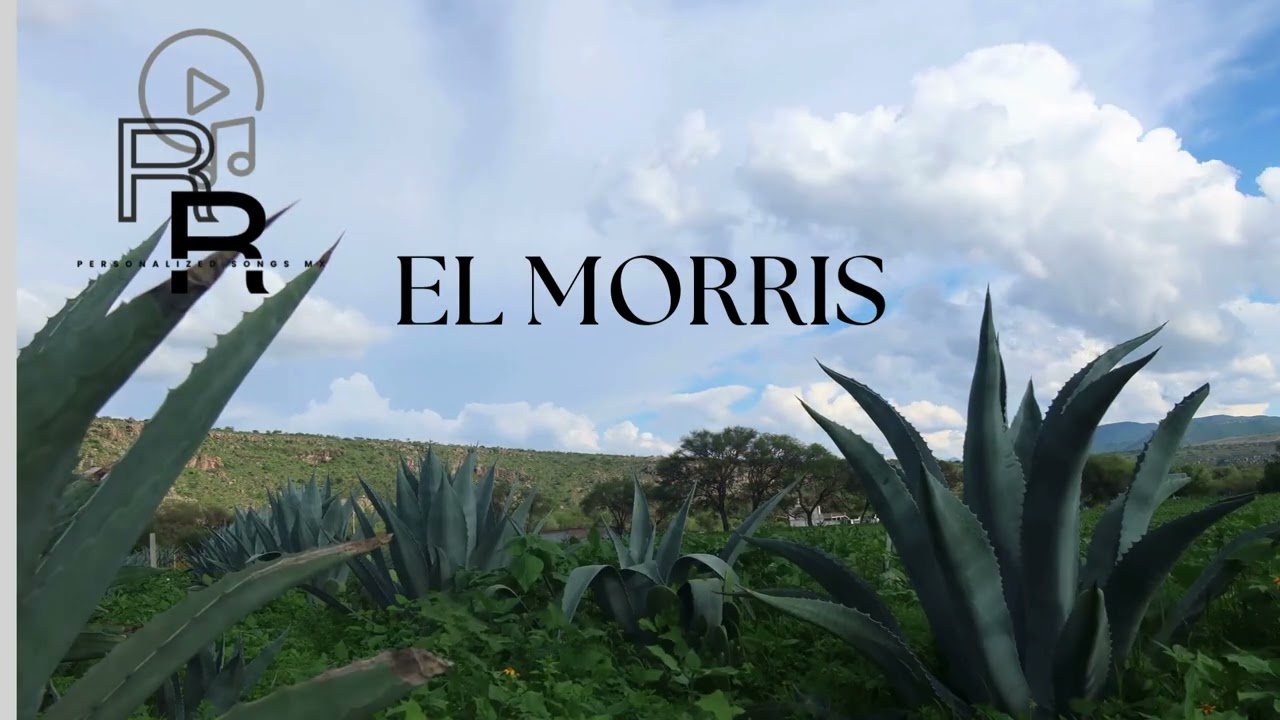 EL MORRIS