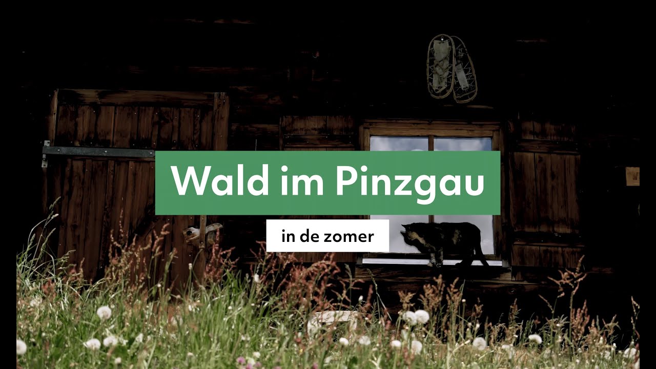 Zomer in Wald im Pinzgau: dit kun je er doen! #vakantie