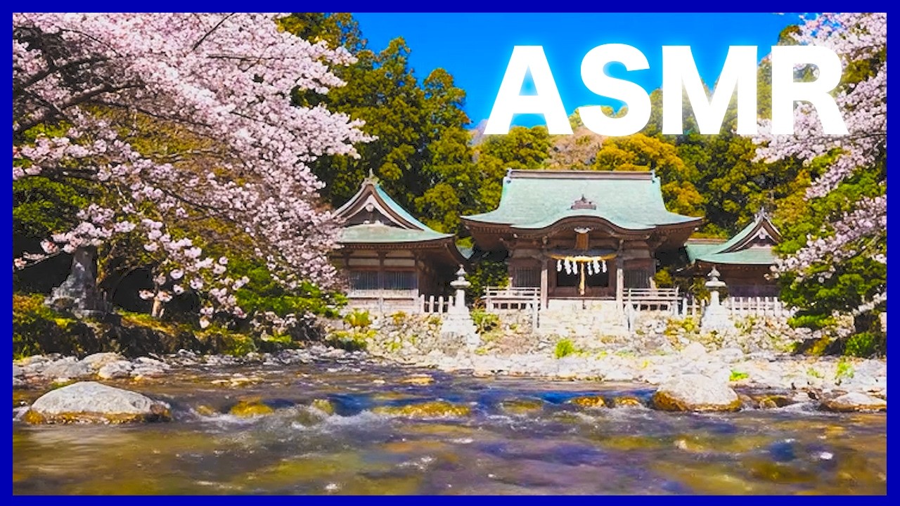 Sakura Temple | Calm River Sounds for【 Deep Sleep 】