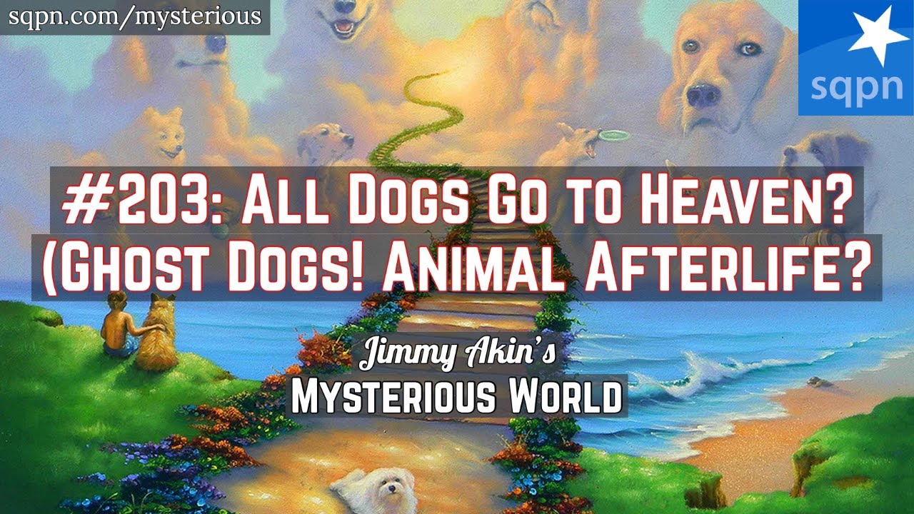 All Dogs Go to Heaven? (Ghost Dogs! Animal Afterlife?) - Jimmy Akin's Mysterious World