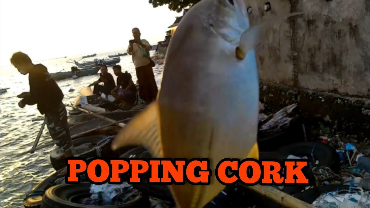 POPPING CORK Piranti ABU GARCIA dapat Sambaran Giant Trevally